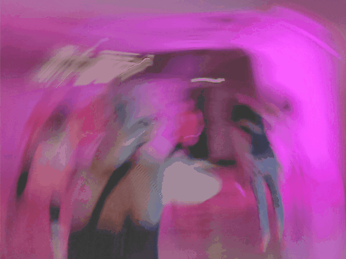 programme danse de la rentrée