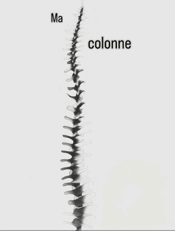 MA COLONNE VERTEBRALE